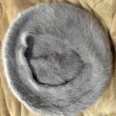 ROPE PICNIC PASSAGE シャギーベレー帽 グレーの画像