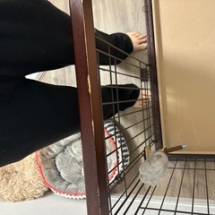 ペットケージ
の画像