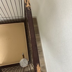 ペットケージ
の画像