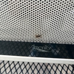 電子レンジ AM-533（60Hz専用）の画像