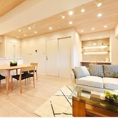 未使用、展示のみ　カーペットの画像