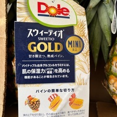 パイナップル1個の画像