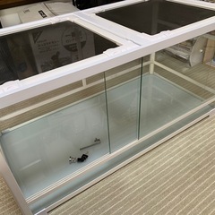 パンテオンの画像