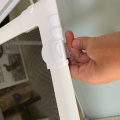 パンテオンの画像