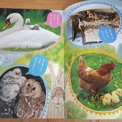 幼児用　本の画像
