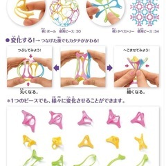 ワミーWammy
の画像