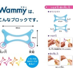 ワミーWammy
の画像