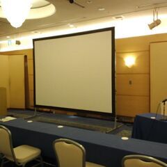 150インチ　組み立て式大型スクリーンの画像