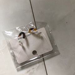 本日締切‼️ピアスの画像