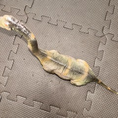 恐竜フィギュアの画像