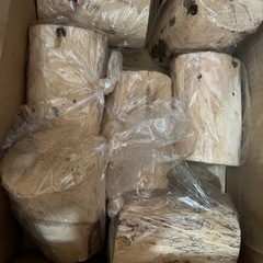 産卵木　産卵材　クワガタ用
の画像