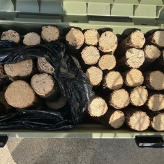 産卵木　産卵材　クワガタ用
の画像