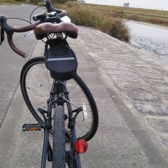 【年末限定価格】ルイガノ LGS-CT　ロードバイクの画像