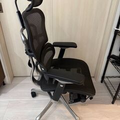 エルゴヒューマン プロ ヘッドレスト オットマン内蔵 黒 Ergohuman Pro ottoman オフィスチェア メッシュモデル EHP-LPLの画像