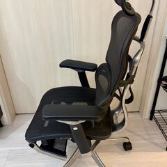 エルゴヒューマン プロ ヘッドレスト オットマン内蔵 黒 Ergohuman Pro ottoman オフィスチェア メッシュモデル EHP-LPLの画像