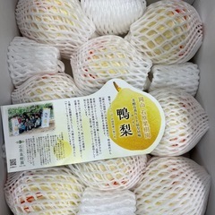 岡山県産鴨梨1箱の画像