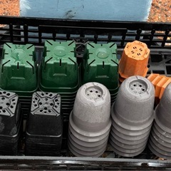 プラ鉢大の画像