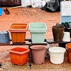 プラ鉢大の画像