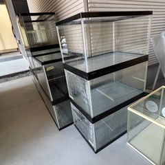 ★⭐︎本日or明日引取限定⭐︎★　水槽まとめ売り11本｜40・45・60cm｜破格15,000円 の画像