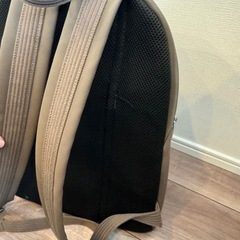 ラコステ　メンズリュックの画像