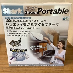 スチームポータブルの画像