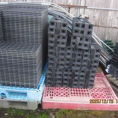 イチゴ苗の育苗（商品名）にらポットの画像