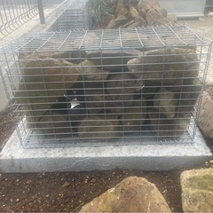 ロックガーデン　
ミニガビオン　蛇籠　　の画像