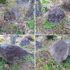 庭石お譲りしますの画像