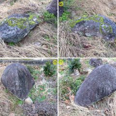 庭石お譲りしますの画像