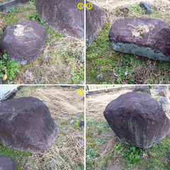 庭石お譲りしますの画像