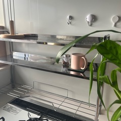 チッキンラックの画像