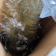 クリスマスツリーの画像