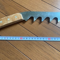 スノーソー
の画像