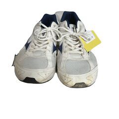 【ドリーム池田店】ミズノ　メンズスポーツスニーカー　29cm【99680000038922】の画像