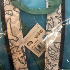 「手渡し、急募」ポケモンプラチナムザッカスクエアリュックVol2の画像