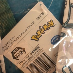 「手渡し、急募」ポケモンプラチナムザッカスクエアリュックVol2の画像