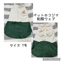 中型犬 犬服 セット売り(バラ売り可)の画像