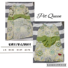 中型犬 犬服 セット売り(バラ売り可)の画像