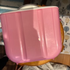 ピジョン　哺乳瓶レンジで消毒の画像