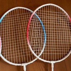 バトミントン、ヒップスライダーの画像