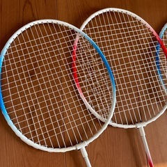 バトミントン、ヒップスライダーの画像