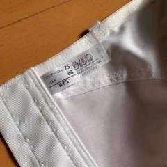 ブライダルインナー　ホームクリーニングずみの画像