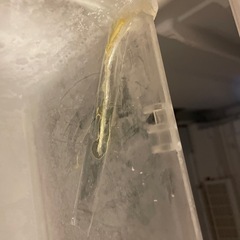 パナソニック　冷蔵庫　500L　の画像