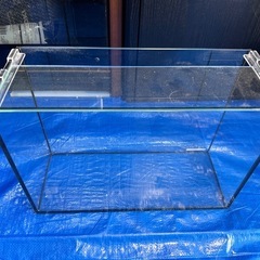 コトブキ　レグラス　40cm水槽の画像