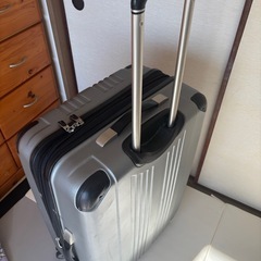 【取引終了】
RICARDO  キャリーケースの画像