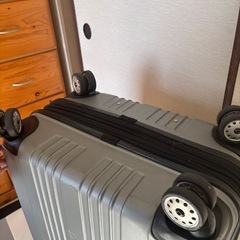 【取引終了】
RICARDO  キャリーケースの画像