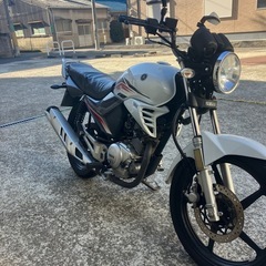 エンジン始動動画あり堺市堺区ybr125の画像