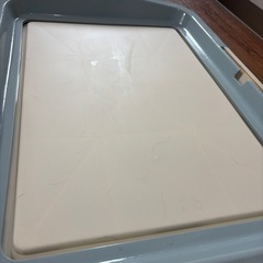 【新品】ワイドサイズ　ペット用　トイレの画像