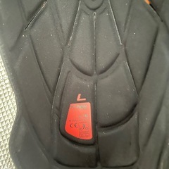 fox プロテクター タイタンの画像