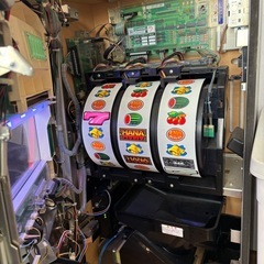 スロット　ドラゴンハナハナ30の画像